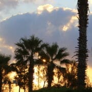 Sunnylands Center & Gardens